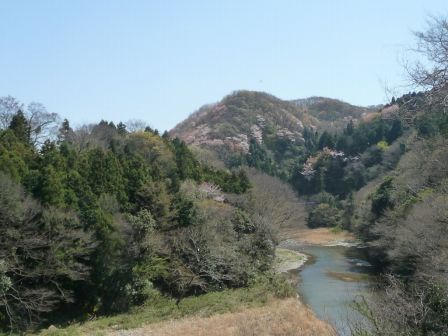 46.新秋川橋から見る花見山