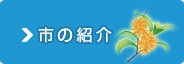 市の紹介