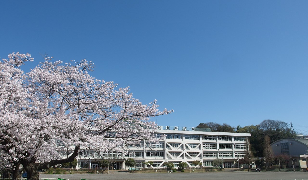 南秋留小学校の外観