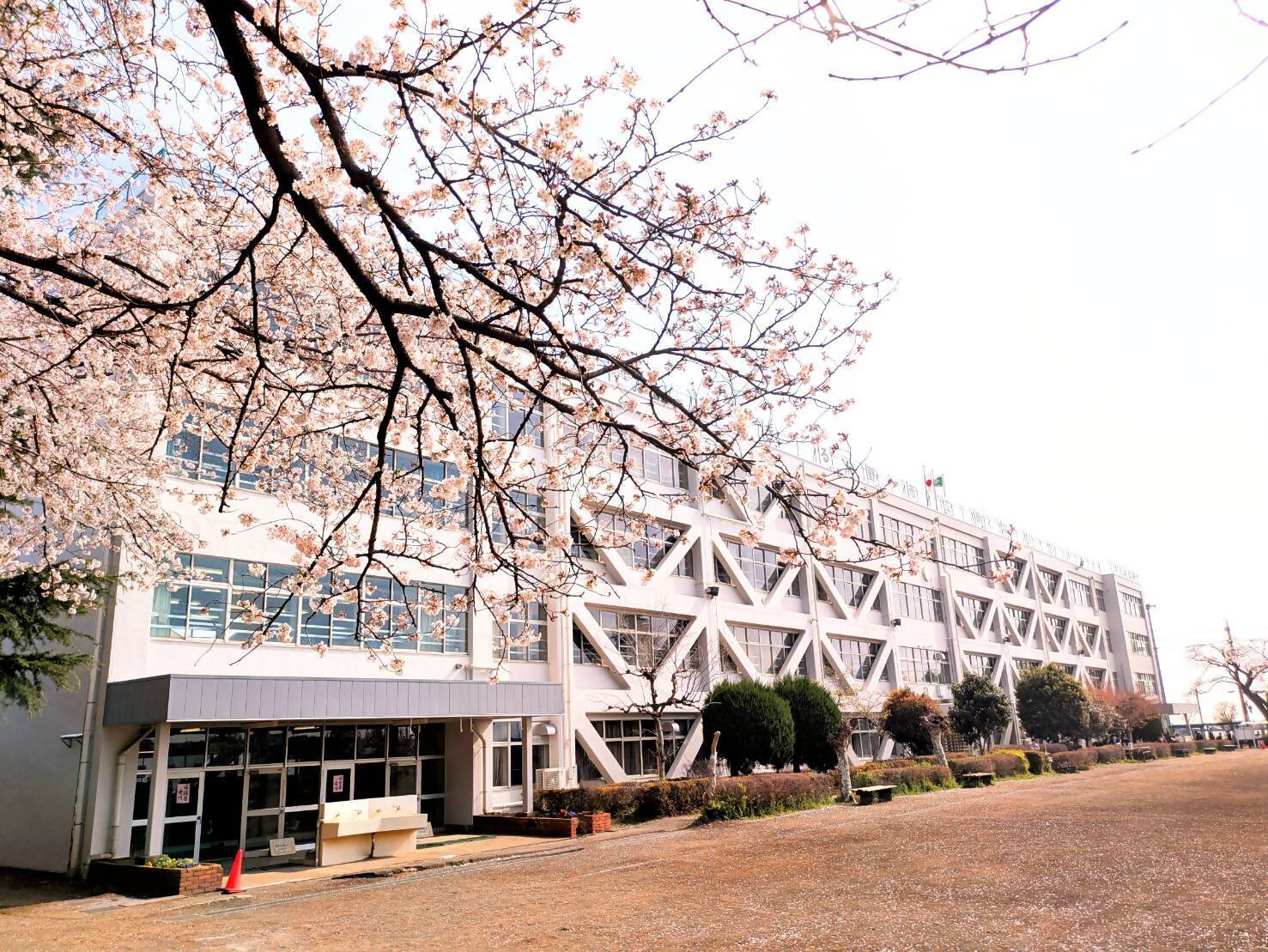 東中学校の外観