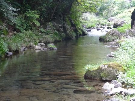 8.養沢川