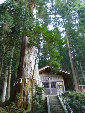 11.五柱神社