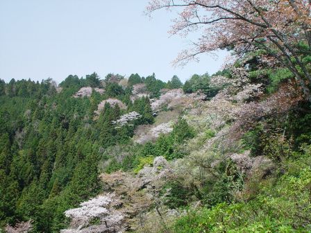 24.金比羅山