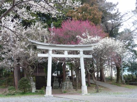 54.天神社（山田の天神さま）