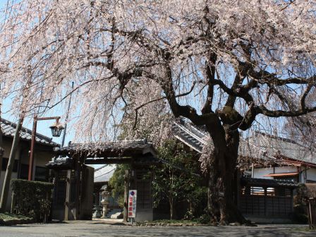 68.宝清寺