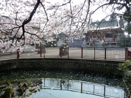 70.八雲神社