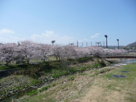 78.草花公園周辺