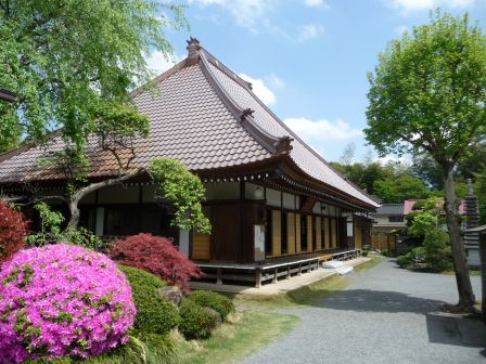 80.珠陽院