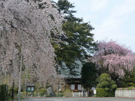 66.地蔵院