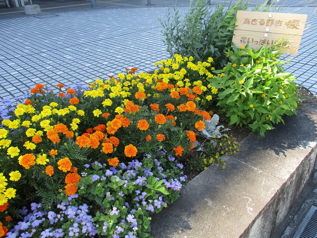 あきる野市役所本庁舎前花壇