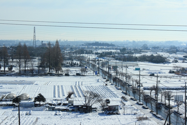 庁舎東方向の雪景色