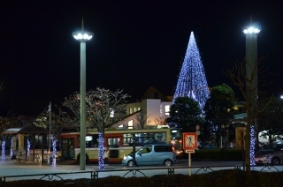 秋川駅北口のメインツリー