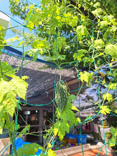 屋城保育園の写真