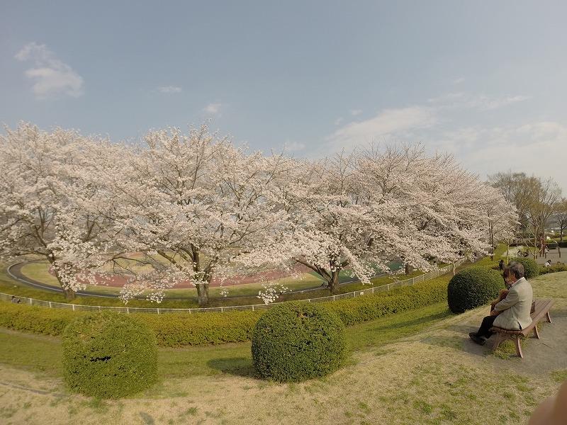 都立秋留台公園