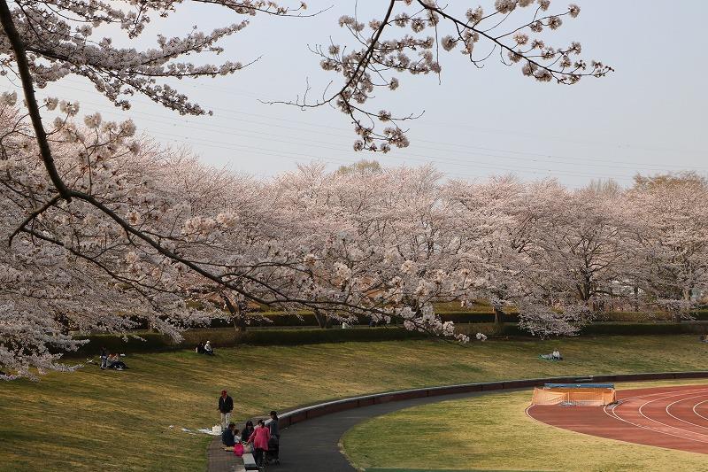 都立秋留台公園