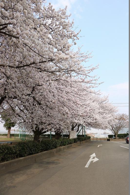 市民運動広場