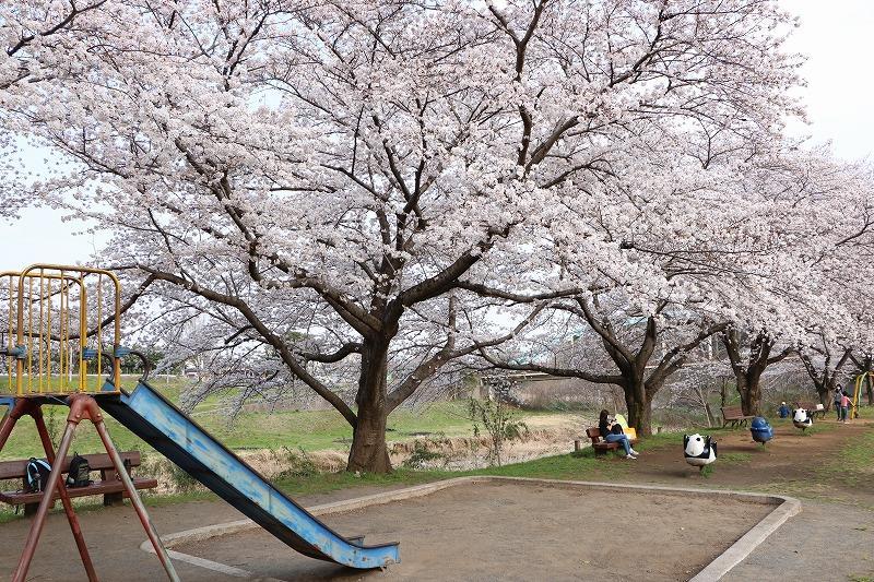 草花公園