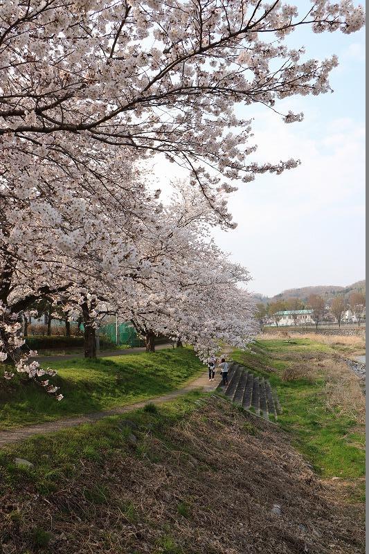 草花公園