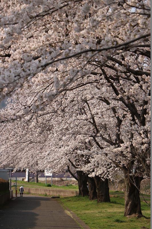 草花公園