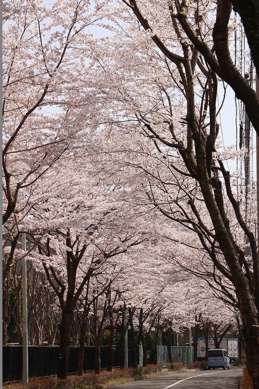 東中学校周辺