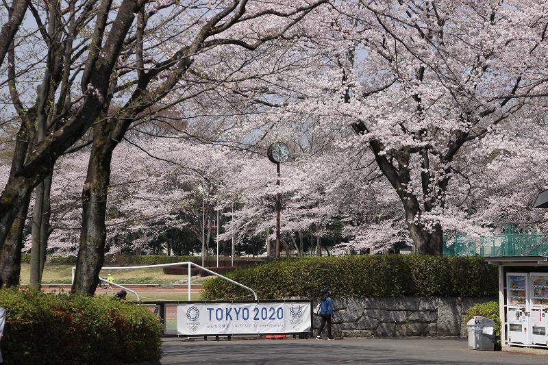 都立秋留台公園