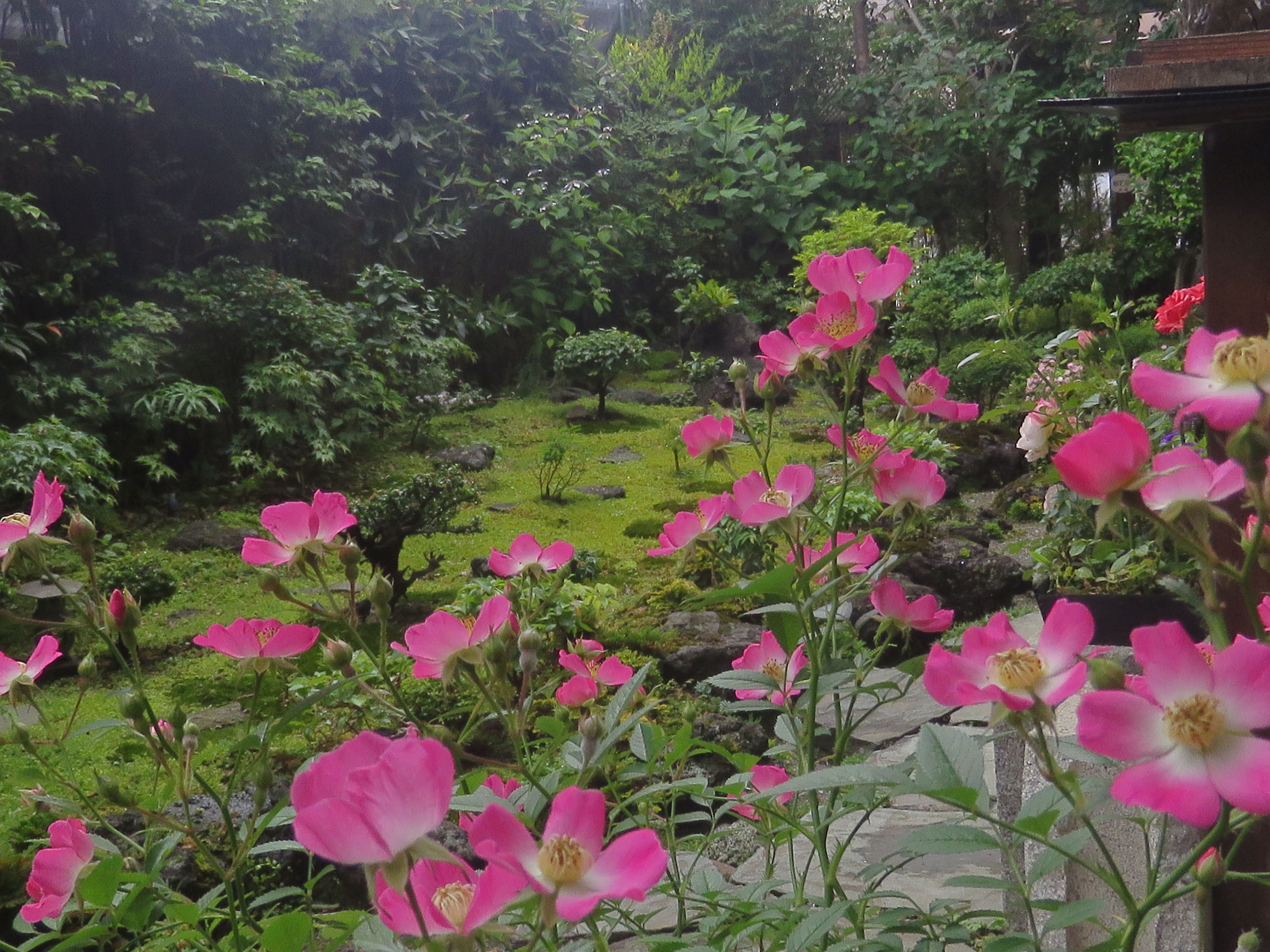 オープンガーデン川名邸