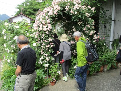 令和7年度オープンガーデンめぐりの様子1