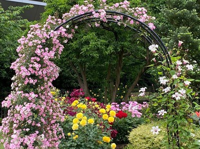 オープンガーデン中村邸