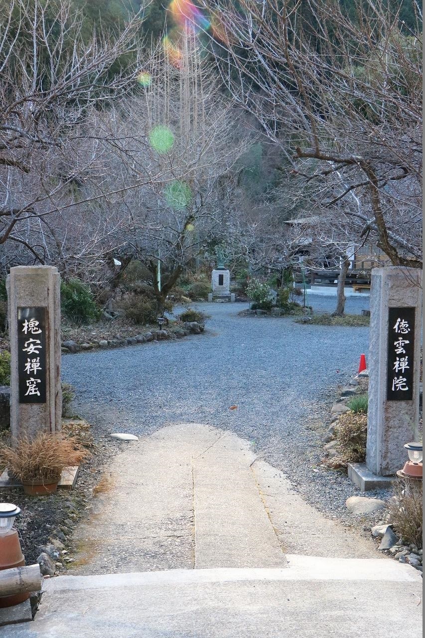 徳雲院