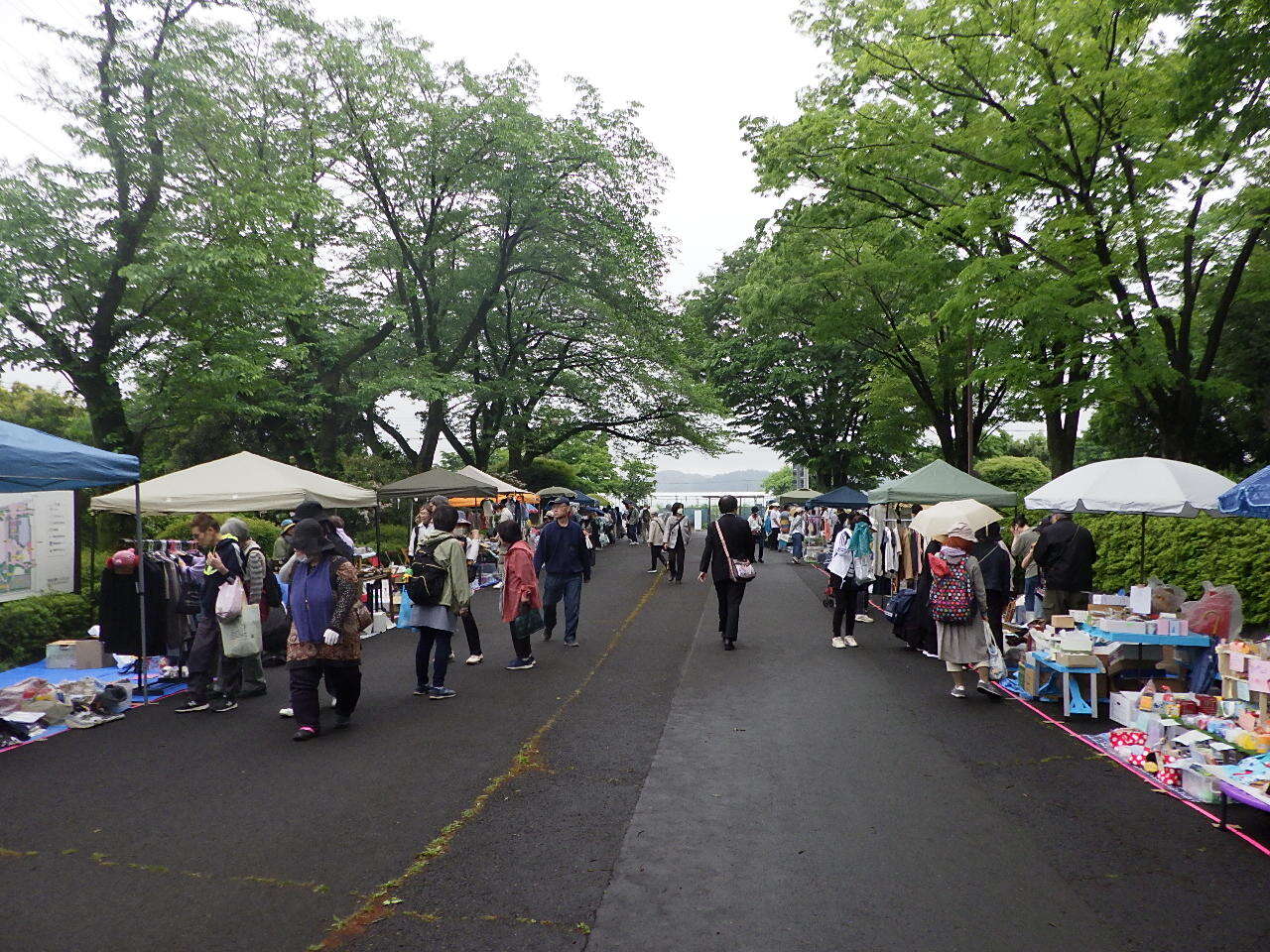 写真5