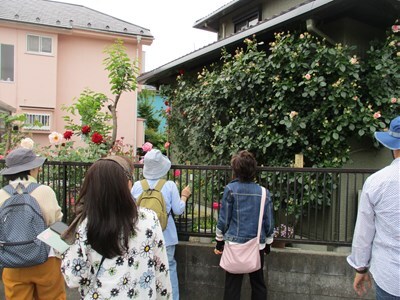 令和7年度オープンガーデンめぐりの様子2