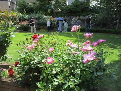 令和7年度オープンガーデンめぐりの様子3