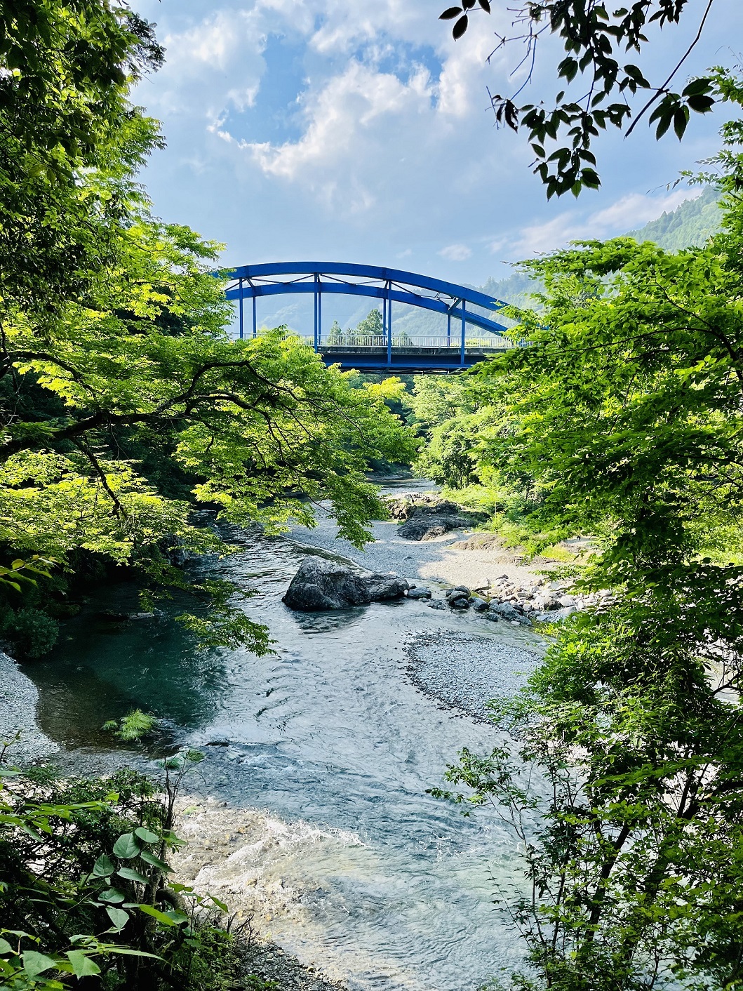 沢戸橋の新緑