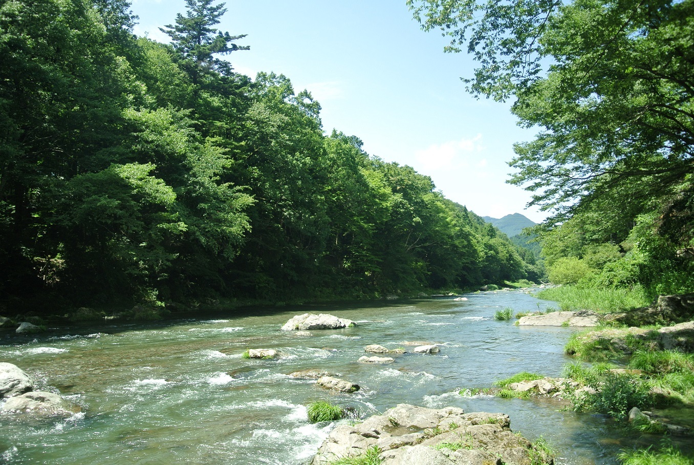 新緑の岩瀬峡