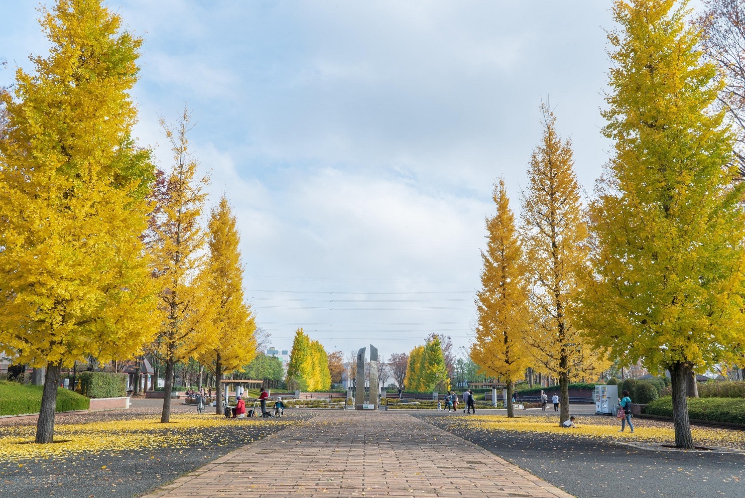 秋留台公園の紅葉