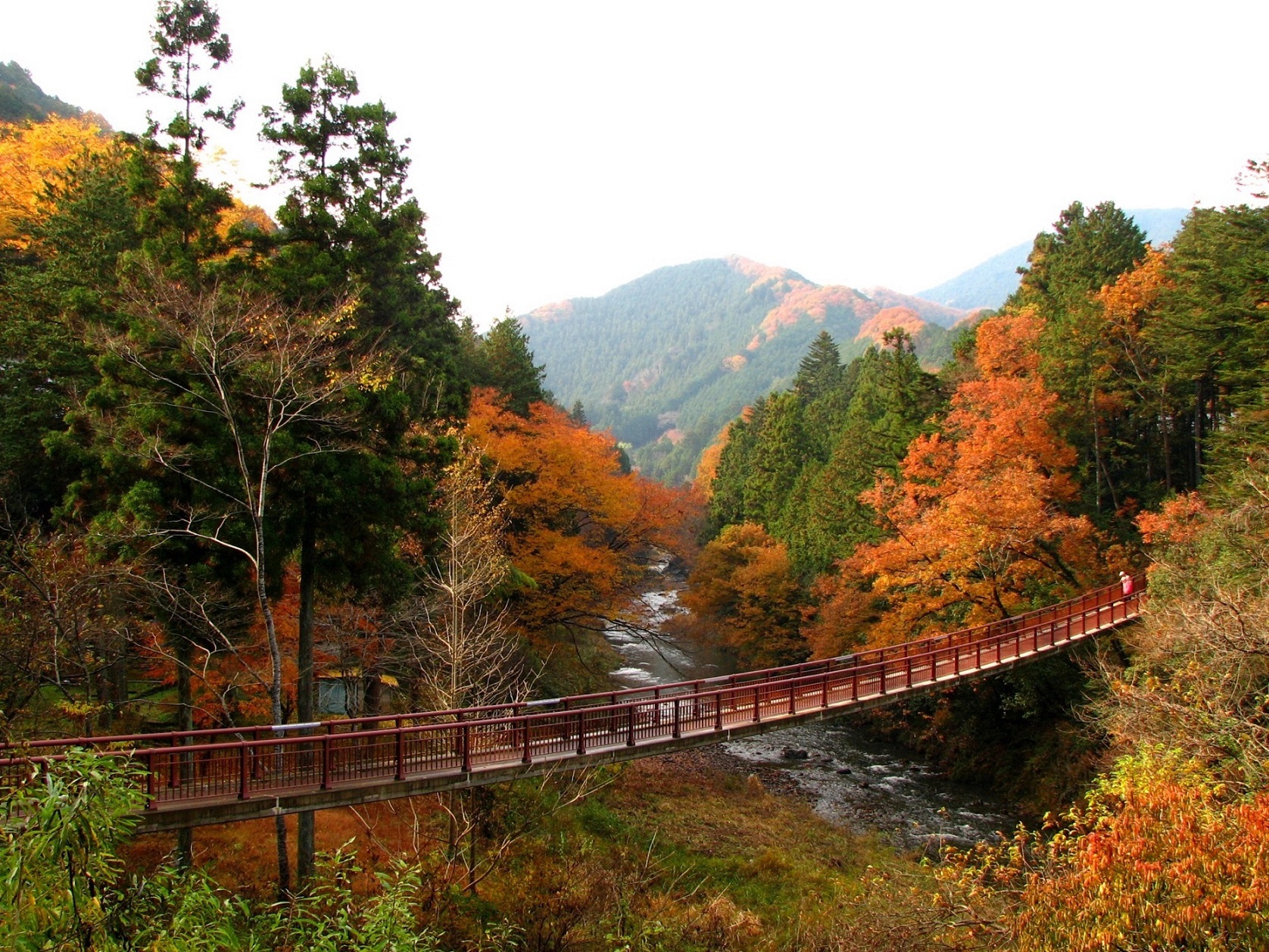 石舟橋の紅葉