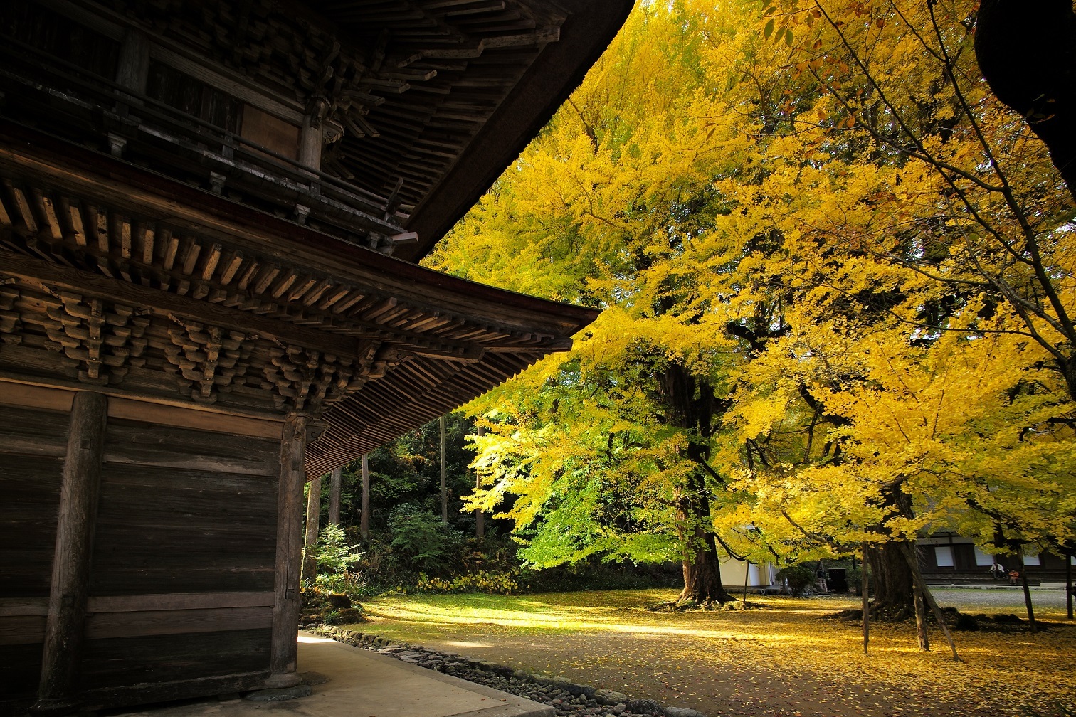 広徳寺の紅葉