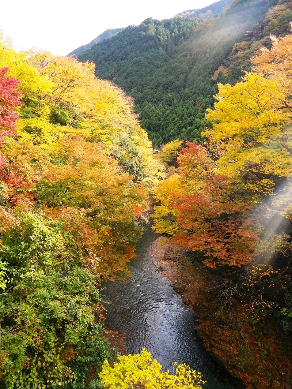 青木平橋の紅葉