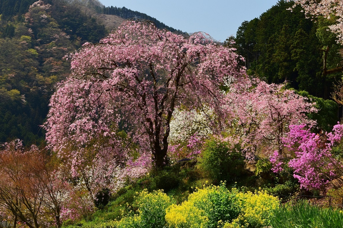 乙津 花の里の写真