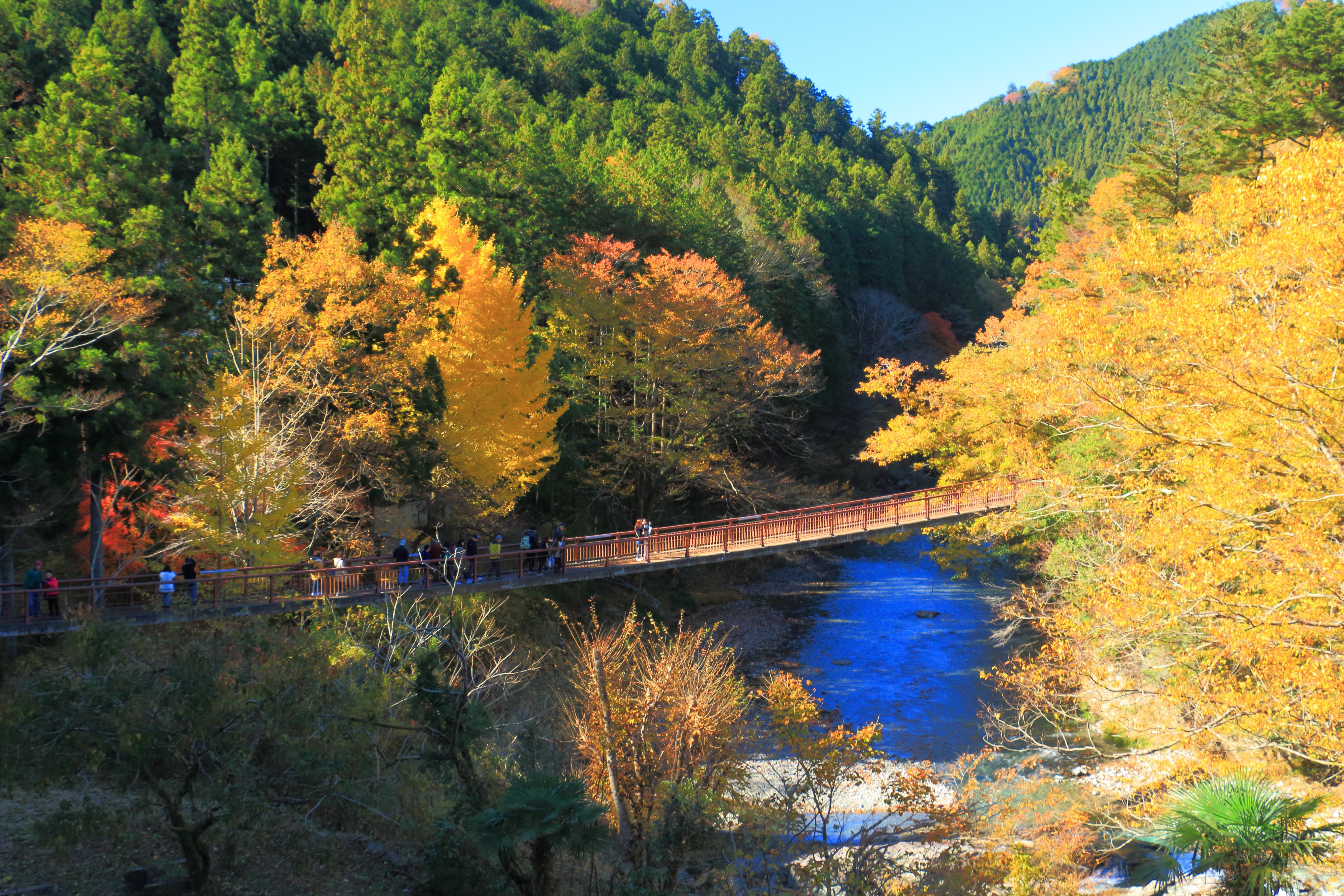 秋_石舟橋の紅葉