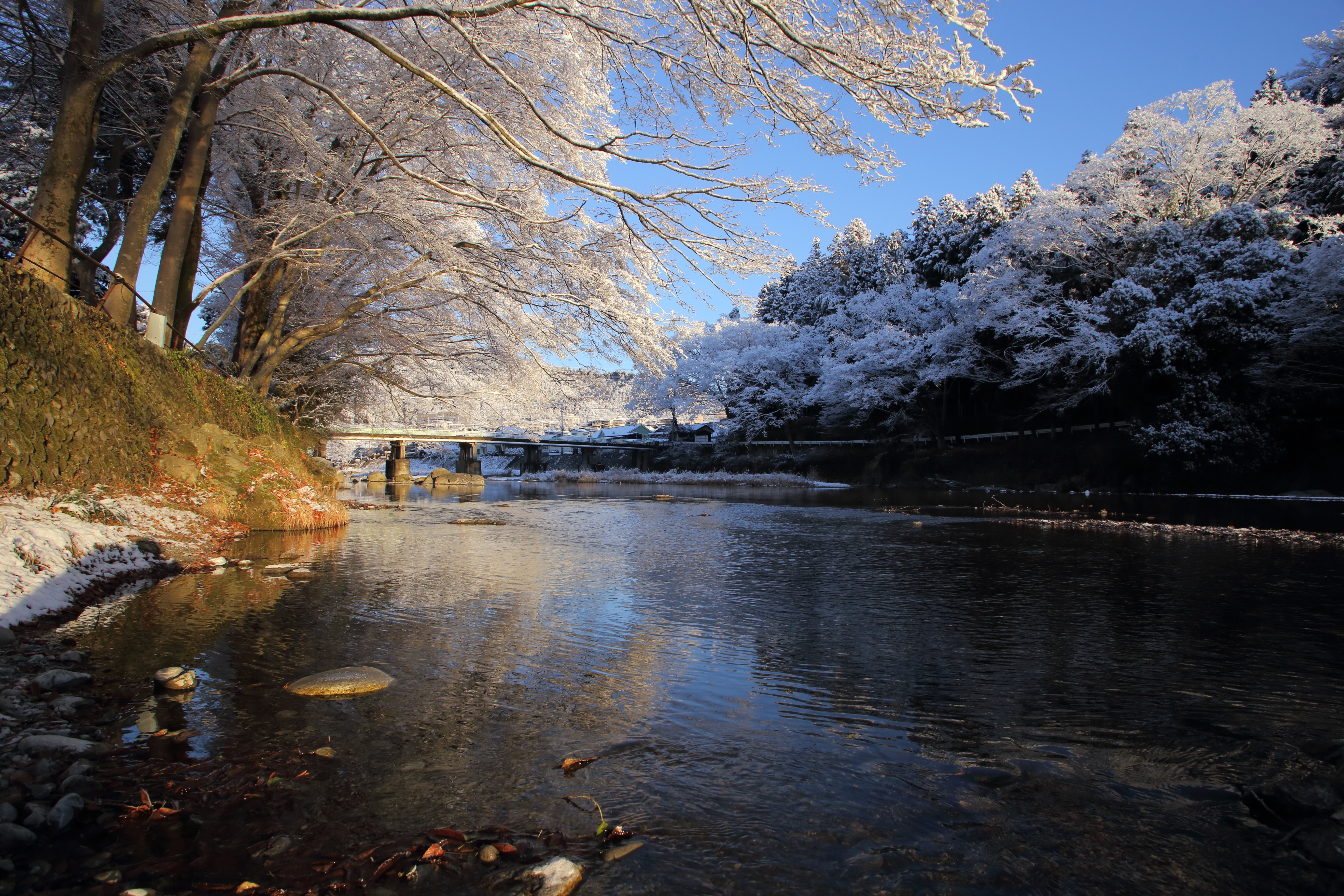 小和田橋周辺の雪景色