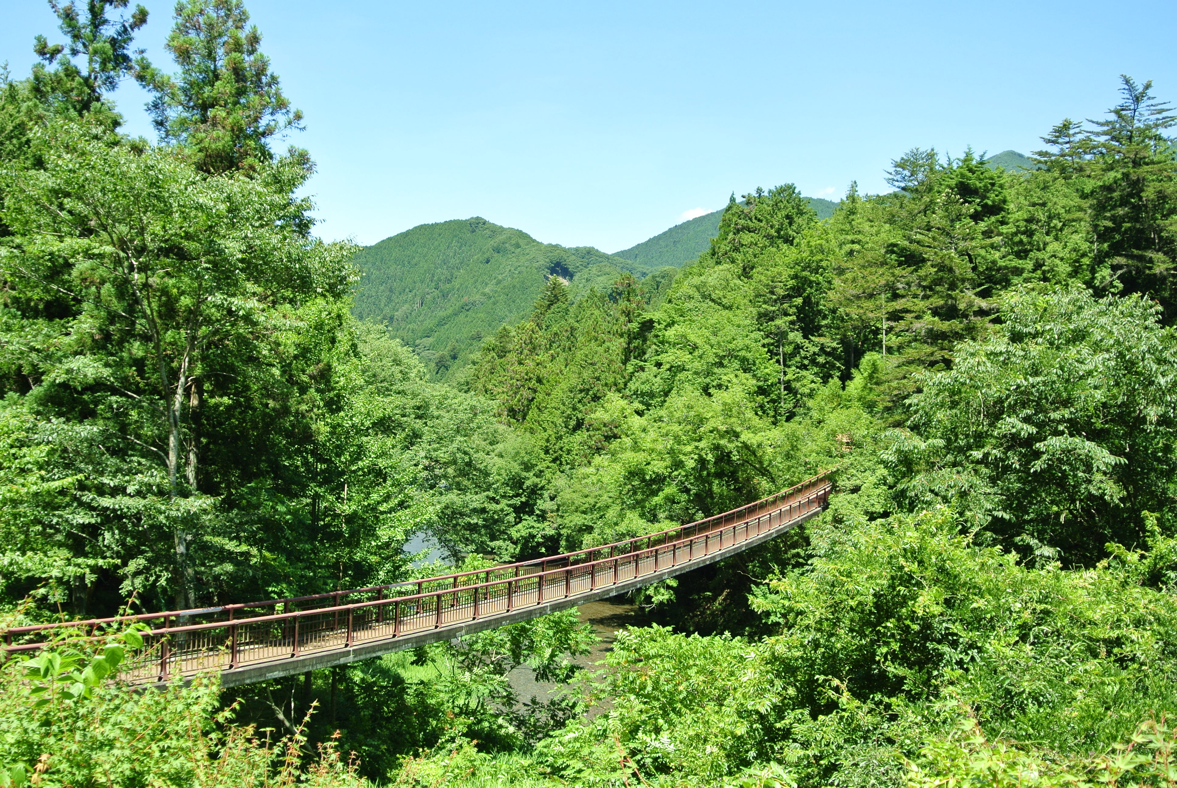 夏_石舟橋