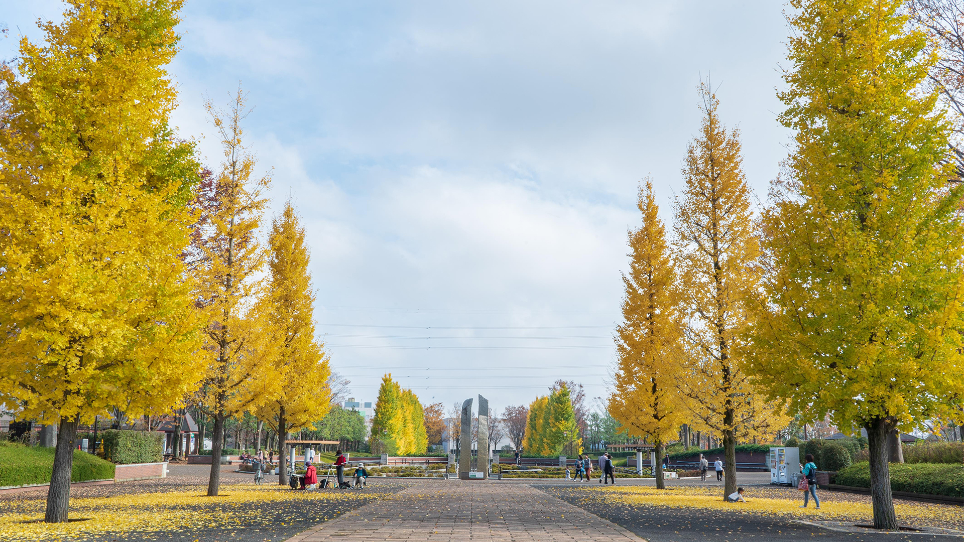 都立秋留台公園